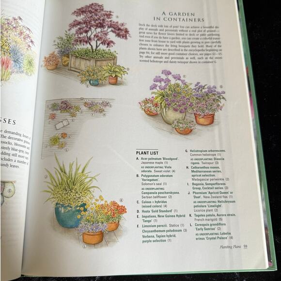 Sunset Annuals and Perennials | 2002 | Vintage Gardening Book - Picture 8 of 10